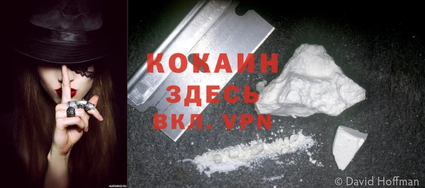 винт Балахна
